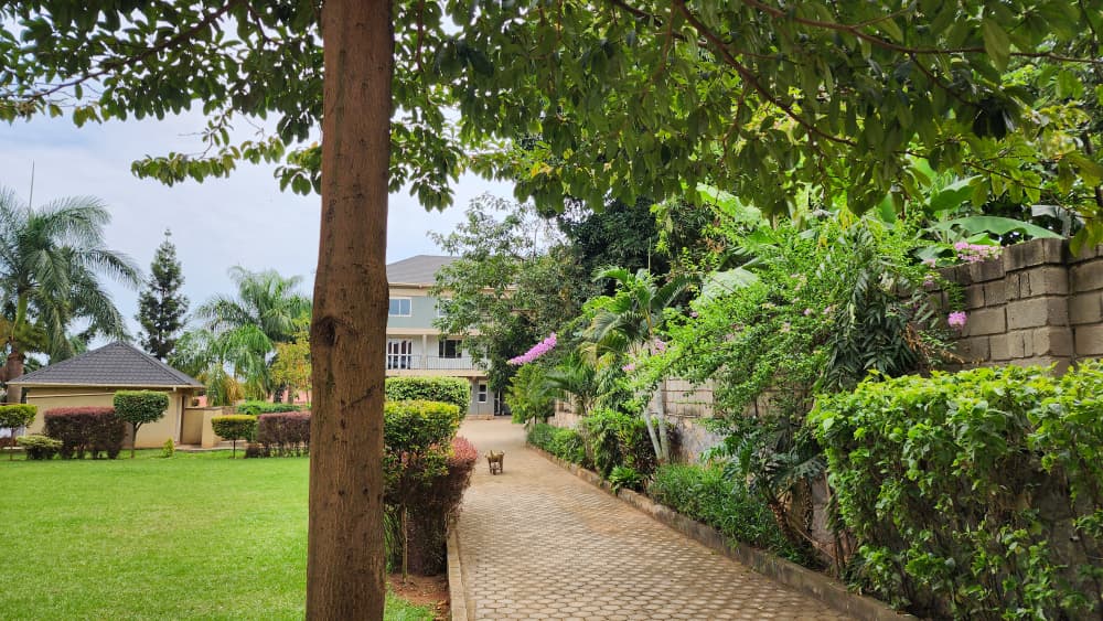 Beautiful Garden View